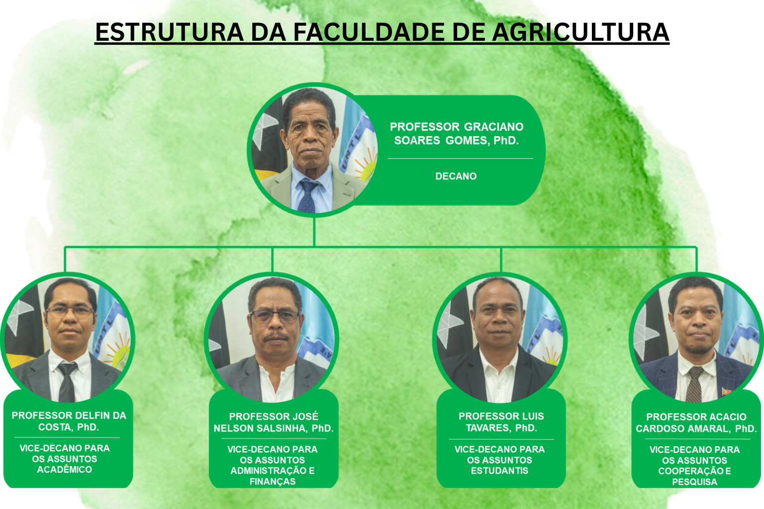 Estrutura Organizasionál