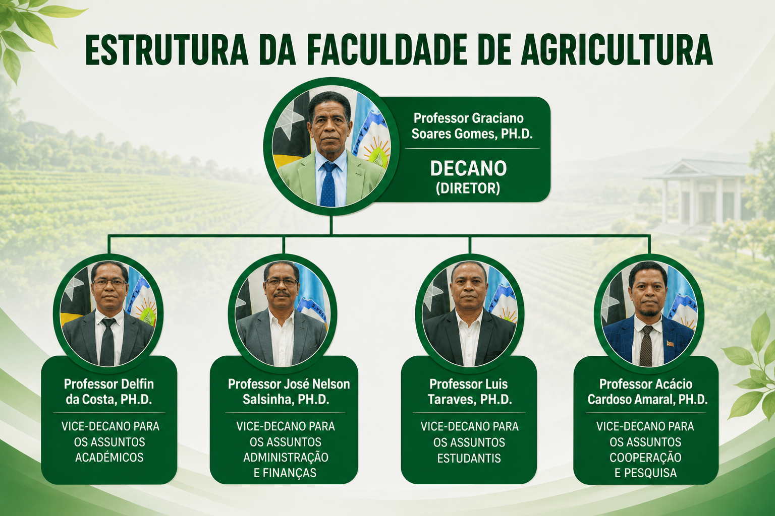 Estrutura Organizacional